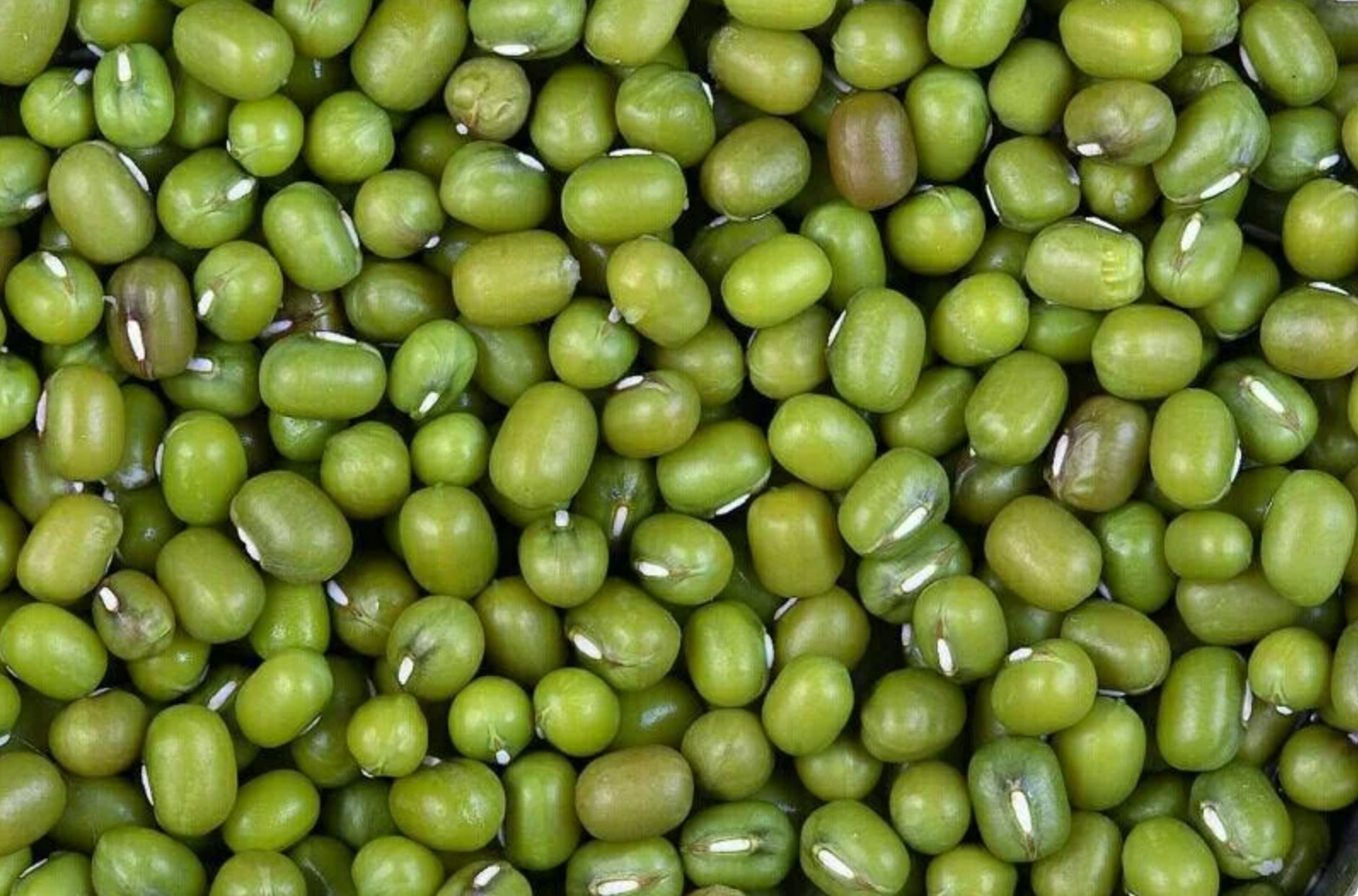 Green Mung Peas